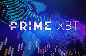 Explore the Best Features of Trading Platform PrimeXBT