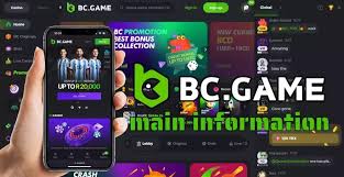 Exploring Working BC.Game Mirror Sites for Seamless Gaming