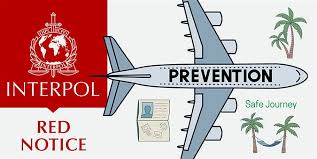Interpol Lawyers Team Navigating International Law 1340143582