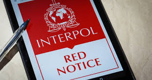 Interpol Lawyers Team Navigating International Law 1340143582