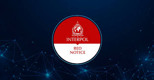 Interpol Lawyers Team Navigating International Law 1340143582